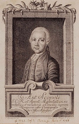 Scopoli, Giovanni Antonio